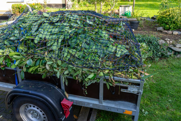 Best Electronics and E-Waste Disposal  in Strawberry Point, IA